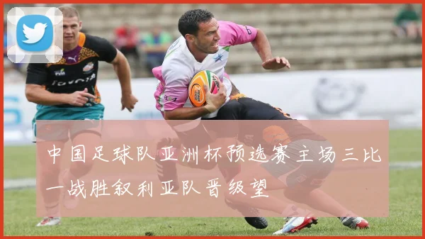 中国足球队亚洲杯预选赛主场三比一战胜叙利亚队晋级望