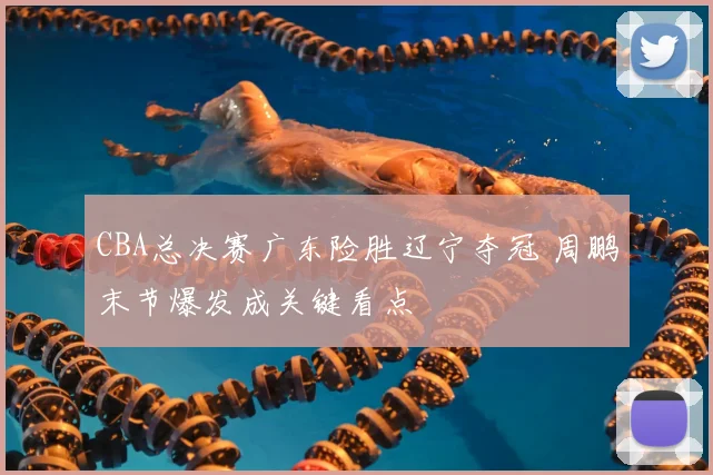 CBA总决赛广东险胜辽宁夺冠 周鹏末节爆发成关键看点