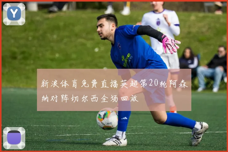 新浪体育免费直播英超第20轮阿森纳对阵切尔西全场回放