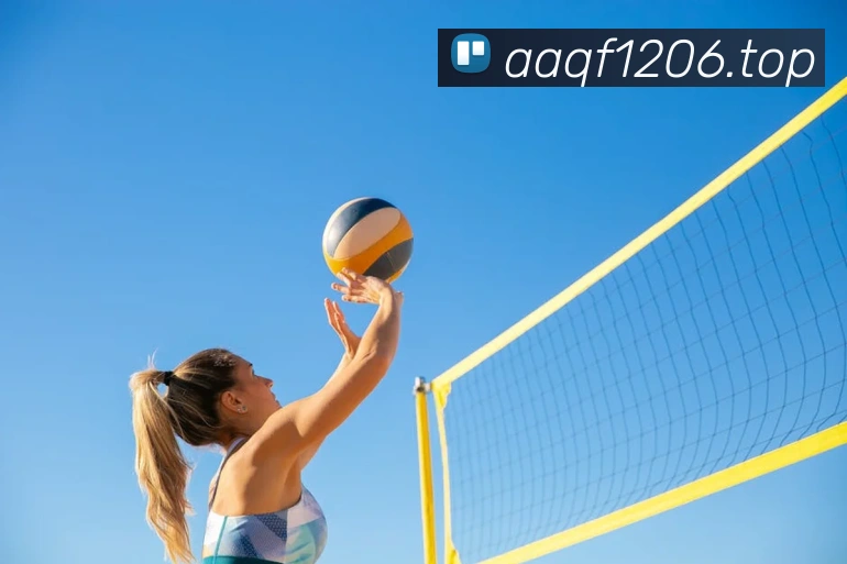 世界杯预选赛直播免费观看网站品牌故事